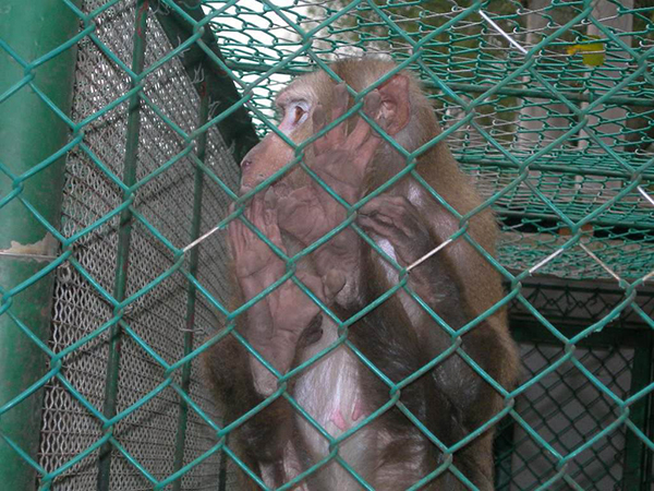 養(yǎng)殖勾花網(wǎng)圖片1