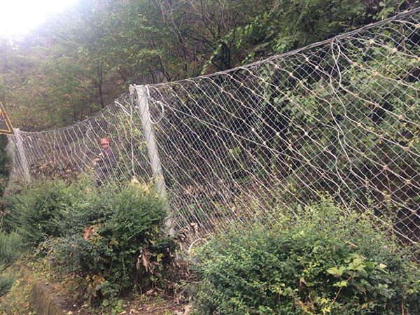 邊坡綠化勾花網(wǎng)圖片3